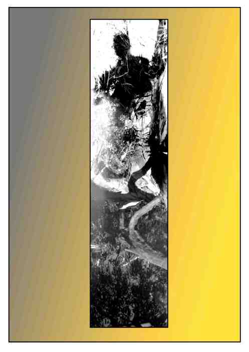 out of the water  copy copy