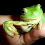 MeControlXXLUserTile-1