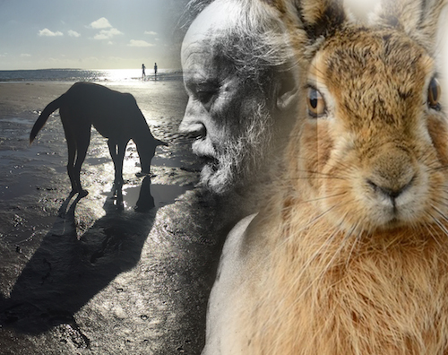 reflective-copy-2 copy 2.jpg