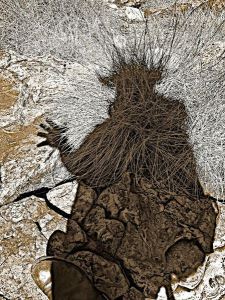 10151524089399356-copy-31